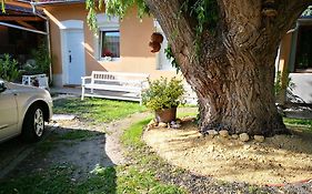City Camping& Apartman &Bungalow