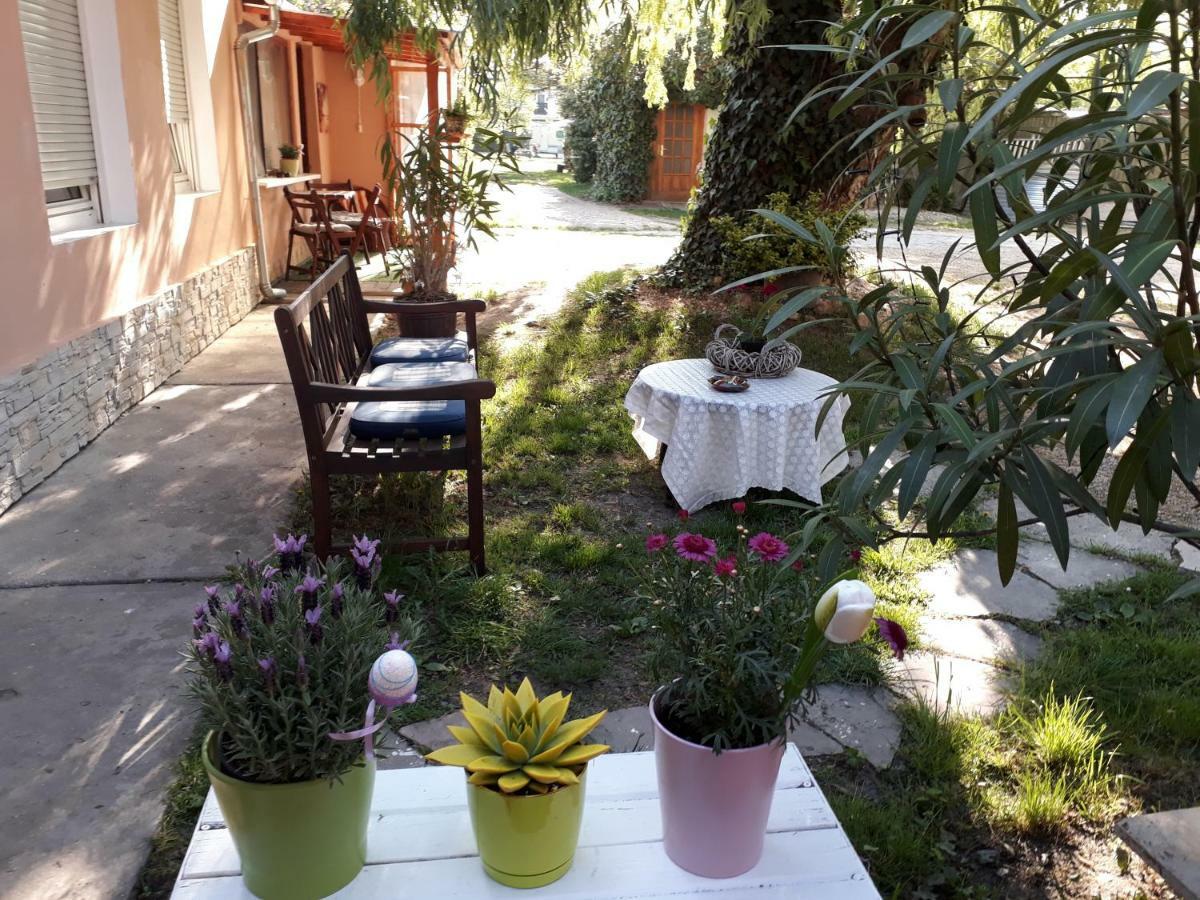 Hotel City Camping& Apartman &Bungalow Győr Exterior foto