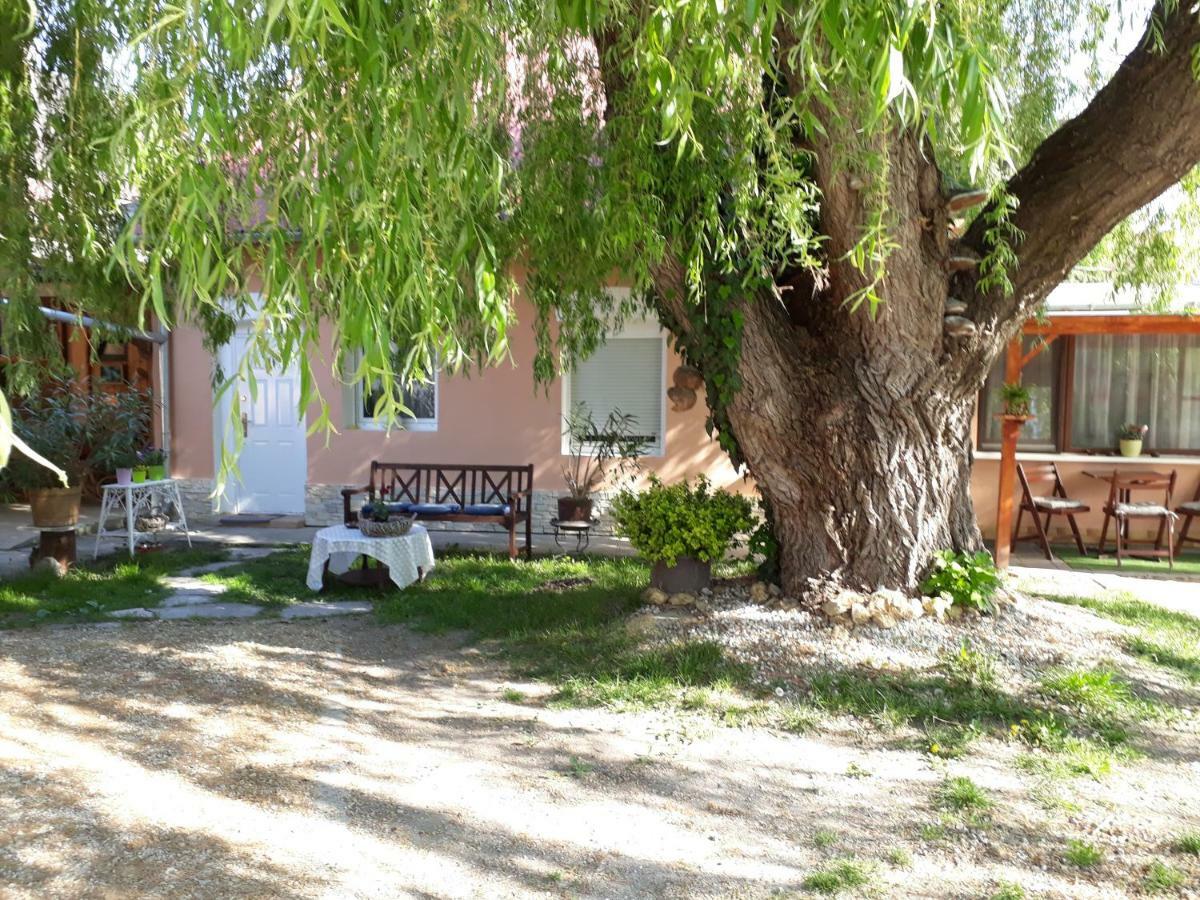 Hotel City Camping& Apartman &Bungalow Győr Exterior foto